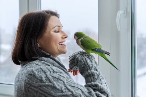 mulher de meia idade e papagaio juntos, dona do pássaro falando olhando para o animal de estimação quaker verde