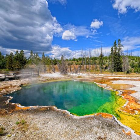 gêiser na natureza e paisagem de Yellowstone