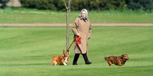 windsor, reino unido, 2 de abril, rainha elizabeth ii passeando com seus cachorros no castelo de windsor, em 2 de abril de 1994, em windsor, reino unido, foto de julian parkeruk press via getty images