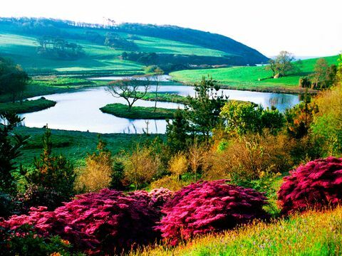 jardins do castelo caerhays