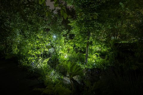 Chelsea Flower Show - De volta ao jardim da natureza, Kate Middleton, à noite, iluminação Philips