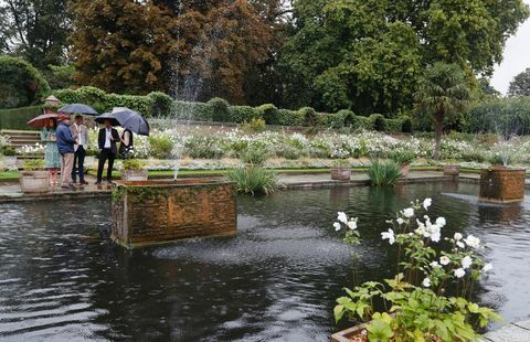 William, Harry e Kate no jardim memorial da princesa Diana