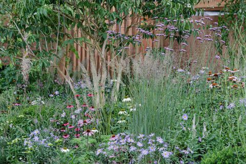 o jardim do rouxinol de florença uma celebração da enfermagem moderna projetada por robert myers patrocinado pela confiança burdett para a mostra de enfermagem jardim rhs chelsea flower show 2021 estande no 322