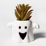 Succulent do Dia das Bruxas do fantasma