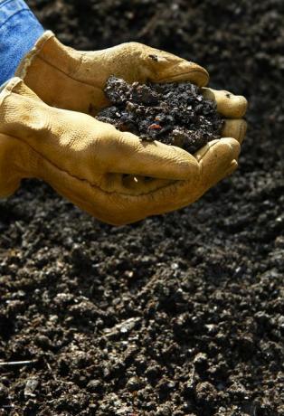 Perfuração manual Solo criado a partir de restos de cozinha ou legumes e frutas de compostagem doméstica, juntamente com folhas de outono e aparas de grama. Produto final terra marrom escura, rica em nutrientes e vermes que se espalham pelo jardim.